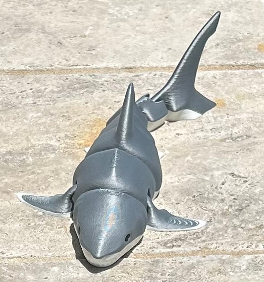 Great white shark