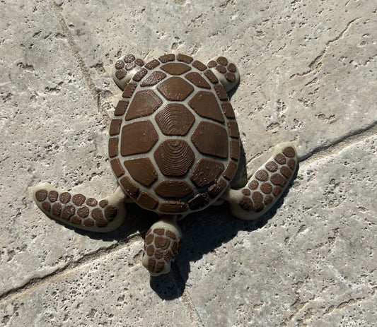 Articulated Turtle
